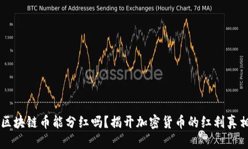 区块链币能分红吗？揭开加密货币的红利真相