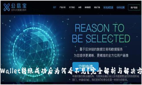 TPWallet转账成功后为何看不见？完全解析与解决方案