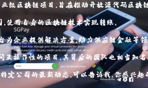 区块链技术发展迅速，各种公司和项目层出不穷，涉及金融、供应链、医疗等多个领域。一些知名的区块链技术公司包括：

1. **比特币（Bitcoin）**：作为第一个区块链应用，比特币在市场上具有重要地位，尽管其本身并不是一家传统意义上的公司。

2. **以太坊（Ethereum）**：以太坊是一个开源的区块链平台，支持智能合约和去中心化应用（Dapps），并且拥有活跃的开发者和用户社区。

3. **Hyperledger**：由Linux基金会主持的企业级区块链项目，旨在推动开放源代码区块链解决方案的研发。

4. **Ripple**：专注于跨境支付解决方案的公司，使用自身的区块链技术实现转账。

5. **IBM Blockchain**：IBM通过其区块链平台为企业提供解决方案，助力供应链金融等领域的应用。

6. **Polkadot**：一个旨在实现不同区块链之间互操作性的项目，其背后的团队也相当知名。

如果你想深入了解具体的区块链技术或想了解特定公司的最新动态，可以告诉我，你感兴趣的具体领域或公司。