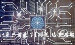 TPWallet资产消失了？别慌，这里有解决办法！