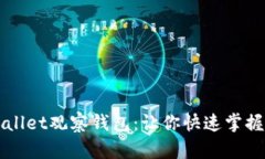 如何查看TPWallet观察钱包：让你快速掌握加密资产