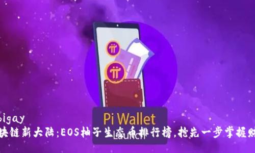 bigay/bigay
探索区块链新大陆：EOS柚子生态币排行榜，抢先一步掌握财富密码