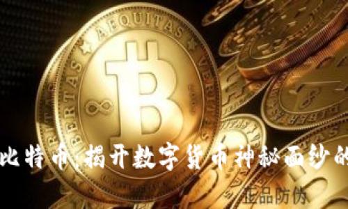 区块链与比特币：揭开数字货币神秘面纱的图解分析