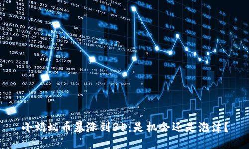 小蚂蚁币暴涨到35：是机会还是泡沫？