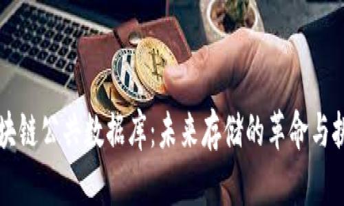 区块链公共数据库：未来存储的革命与挑战