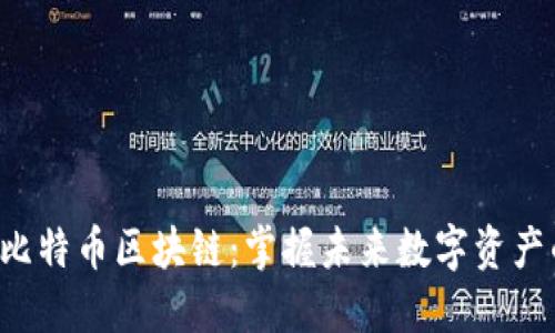 快速下载比特币区块链：掌握未来数字资产的第一步！