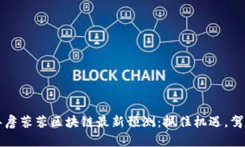 2023年詹蓉蓉区块链最新预测：抓住机遇，驾驭未来!