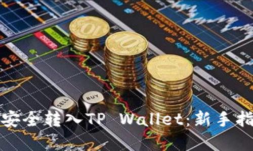 如何将狗狗币安全转入TP Wallet：新手指南与实用技巧