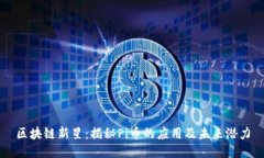 区块链新星：揭秘Pi币的应用及未来潜力