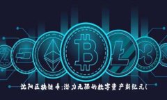 沈阳区块链币：潜力无限的数字资产新纪元！