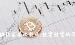 先有区块链后有比特币：数字财富的两大基石