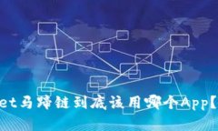 laublictpwallet马蹄链到底该用哪个App？揭示最佳选