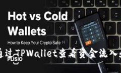 如何通过TPWallet查看资金流入和流出