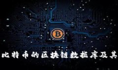全面解析比特币的区块链数据库及其应用前景