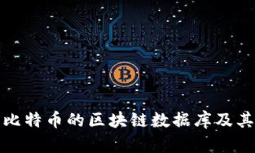 全面解析比特币的区块链数据库及其应用前景