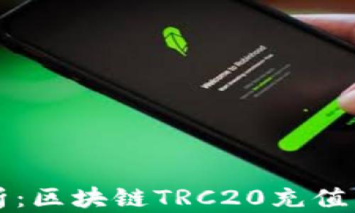 
全面解析：区块链TRC20充值查询指南