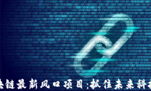 
抢滩区块链最新风口项目：抓住未来科技的机会