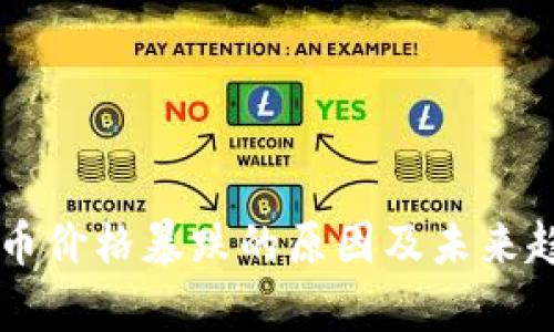 区块链币价格暴跌的原因及未来趋势分析