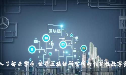 深入了解云尊币：世界区块链研究所的创新性数字资产