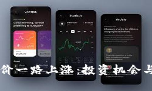 区块链币价一路上涨：投资机会与风险分析