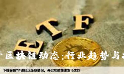 最新饼干区块链动态：行业趋势与技术革新