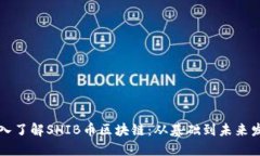 深入了解SHIB币区块链：从基础到未来发展