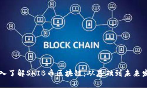 深入了解SHIB币区块链：从基础到未来发展