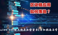 如何在TPWallet BSC链上购买加密货币？详细指南与