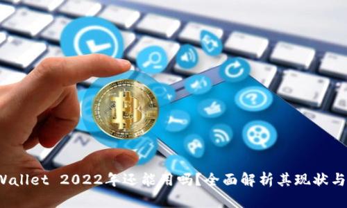  TPWallet 2022年还能用吗？全面解析其现状与前景