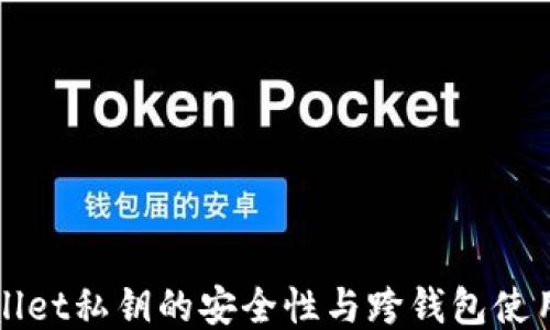 
TPWallet私钥的安全性与跨钱包使用指南