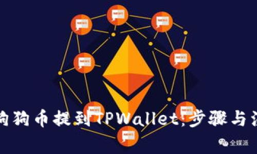 如何将狗狗币提到TPWallet：步骤与注意事项