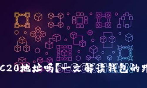 TPWallet支持TRC20地址吗？一文解读钱包的跨链功能及其应用