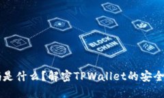 TPWallet验证码是什么？解密TPWallet的安全机制及实