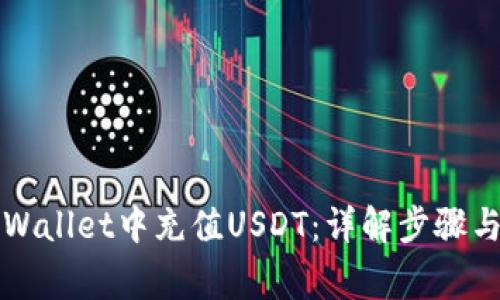 如何在TPWallet中充值USDT：详解步骤与注意事项