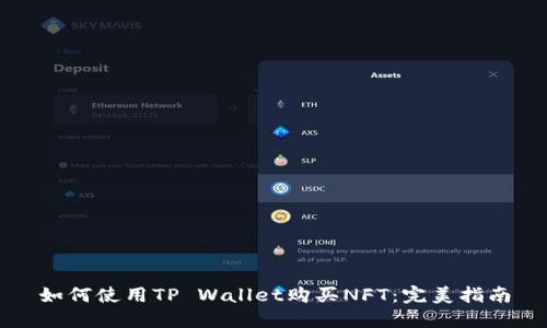 如何使用TP Wallet购买NFT：完美指南