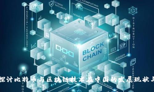 深入探讨比特币与区块链技术在中国的发展现状与前景