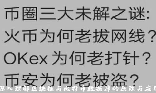 
深入理解区块链与比特币数据库的原理与应用