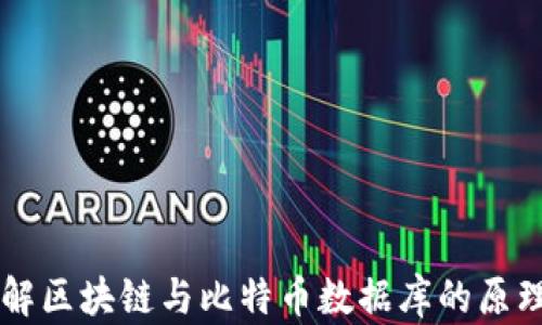 
深入理解区块链与比特币数据库的原理与应用