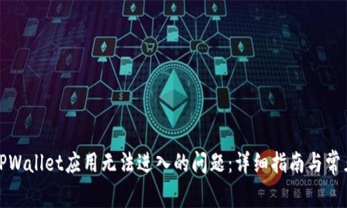 如何解决TPWallet应用无法进入的问题：详细指南与常见故障排除