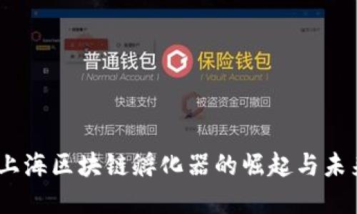 火币：上海区块链孵化器的崛起与未来发展