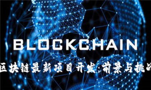 上海区块链最新项目开发：前景与挑战分析