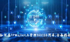 如何在TPWallet上管理BRC20代币：全面指南