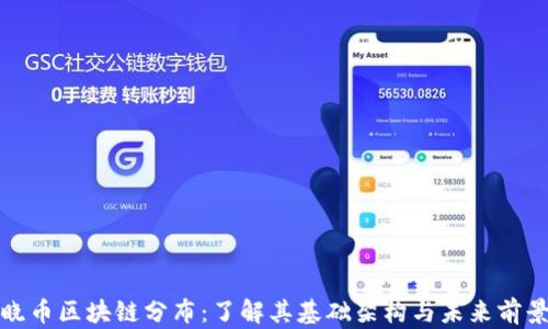 
晓币区块链分布：了解其基础架构与未来前景