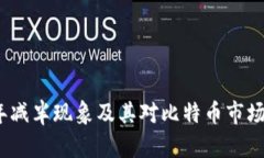 解析2020年减半现象及其对比特币市场的深远影响