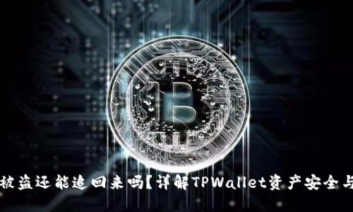 TPWallet被盗还能追回来吗？详解TPWallet资产安全与追回措施
