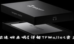 TPWallet被盗还能追回来吗？详解TPWallet资产安全与