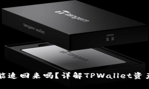TPWallet被盗还能追回来吗？详解TPWallet资产安全与追回措施