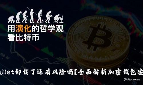 tpwallet卸载了还有风险吗？全面解析加密钱包安全性
