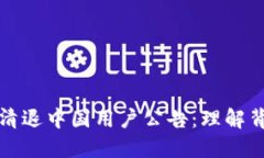 TPWallet清退中国用户公告：理解背景与影响
