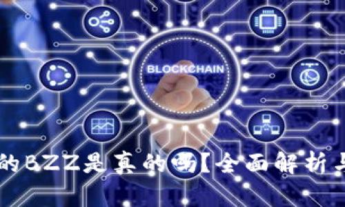 TPWallet的BZZ是真的吗？全面解析与投资前景